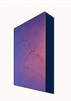 Cuboid